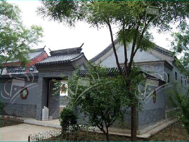胡同